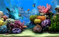 Living marine Aquarium 3D screensaver