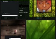 Shadow theme for windows 7