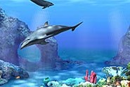 living 3D dolphins