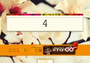 Blossomed Windows Blind Theme
