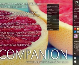Companion Rainmeter Skin For Windows 7
