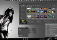 Dalton theme for windows 7