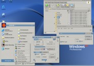 Jarta Windows Blind Theme