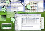 L Cars Windows Blind Theme