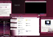 Matinee Windows Blind Theme