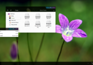 Molk theme for windows 7