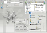 Seer Windows Blind Theme
