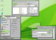 Silvered Windows Blind Theme