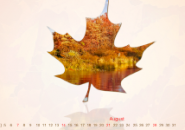 Calendar Autumn Screensaver