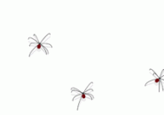 Several Spiders Screensaver