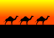 camels Screensaver