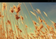 rainmeter_start_button_by_imaginateher-d4jmgos