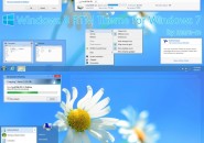 RTM Theme Windows 7 Visual Styles