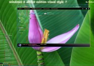 Artist Nature Visual Style for Windows7