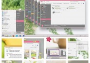 Toybox Visual Styles for windows7