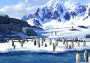 3D penguins screensaver