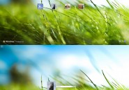 Aero Grass Logon Screen