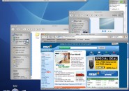 Blue Panther Windows Blind Theme