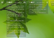 Gmail DynamiX Windows 7 Rainmeter Skin