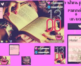 Pink Para Windows 7 Rainmeter Theme