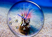 Sea Depth Clock Screensaver