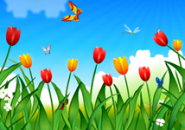 Spring Tulips Screensaver
