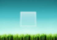 Unspiked Grass Blades Logon Screen