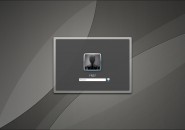 Silvery Black Windows 7 Logon Screen