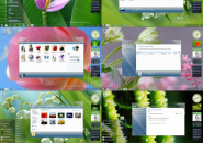 Glassy Clear Visual Style Theme for Windows7